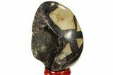 Septarian Dragon Egg Geode - Black Crystals #118725-2